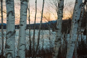 Hotel RANGELEY LAKE RESORT