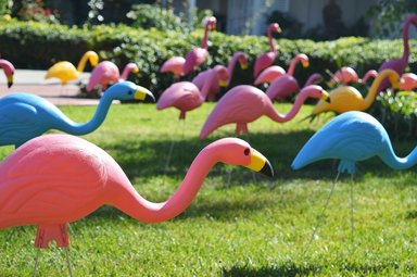 Hotel TOWN AND COUNTRY SAN DIEGO