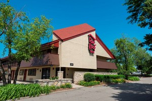 Hotel RED ROOF INN ROCKFORD
